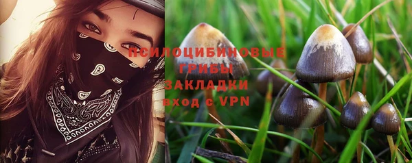 MESCALINE Белокуриха