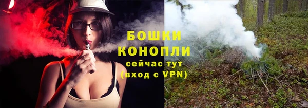 шишки Домодедово